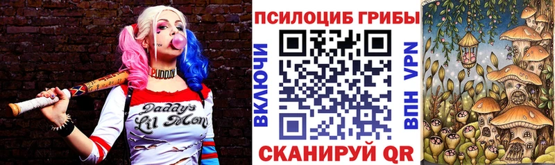 Псилоцибиновые грибы ЛСД  mega зеркало  Иннополис  магазин   
