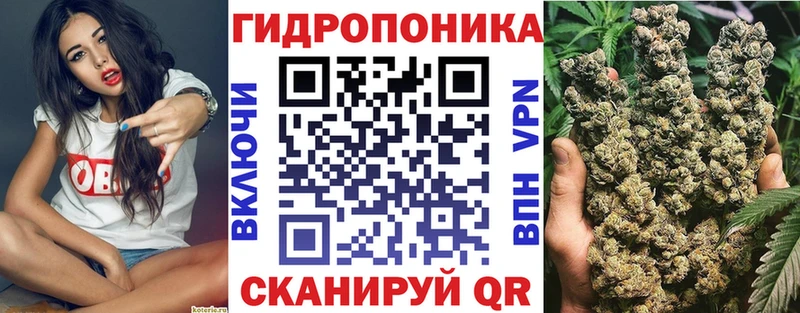 мориарти телеграм Иннополис Бошки марихуана Bruce Banner